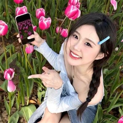 申社长计划